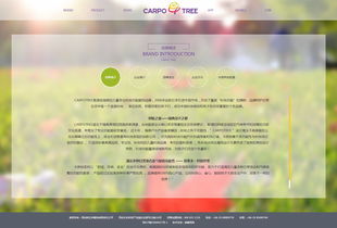 卡波樹童裝 品質與創新并舉，助力外貿銷售新高度
